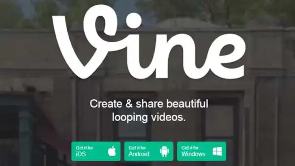 What the Internet Loses When Vine Shuts Down 